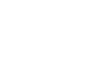 FLAVOUR BEAST FLOW - 5K 10ML